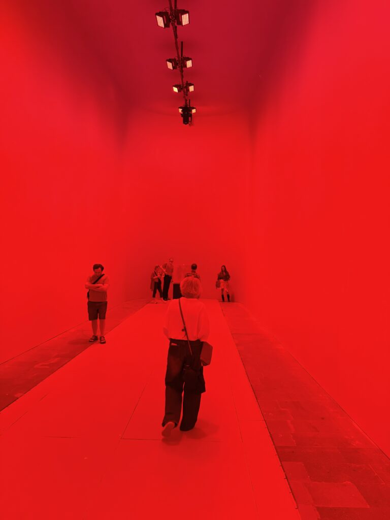 Die Verdichtung des Globalen im monumentalen Raum: Alfredo Jaars eindrucksvolle Installation The End of the World im Arsenale. Ein winziger Kubus inmitten einer kathedralenartigen Halle, der die kritischsten Rohstoffe unserer technologischen Zukunft bündelt und uns emotional wie strategisch mit den unsichtbaren Kosten des Wandels konfrontiert.