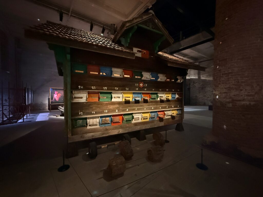 Disruptive Geborgenheit: Blick auf die Installation von Sandra Knecht, die das traditionelle Konzept von „Heimat“ hinterfragt und als lebendige, sich ständig verändernde Formation begreift.